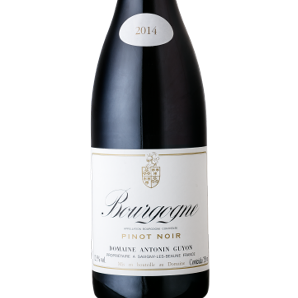 Vinho Antonin Guyon Pinot Noir 750 ml