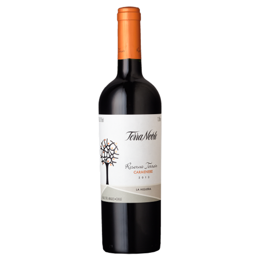 Vinho Terranoble Carmènere Reserva Terroir 750 ml