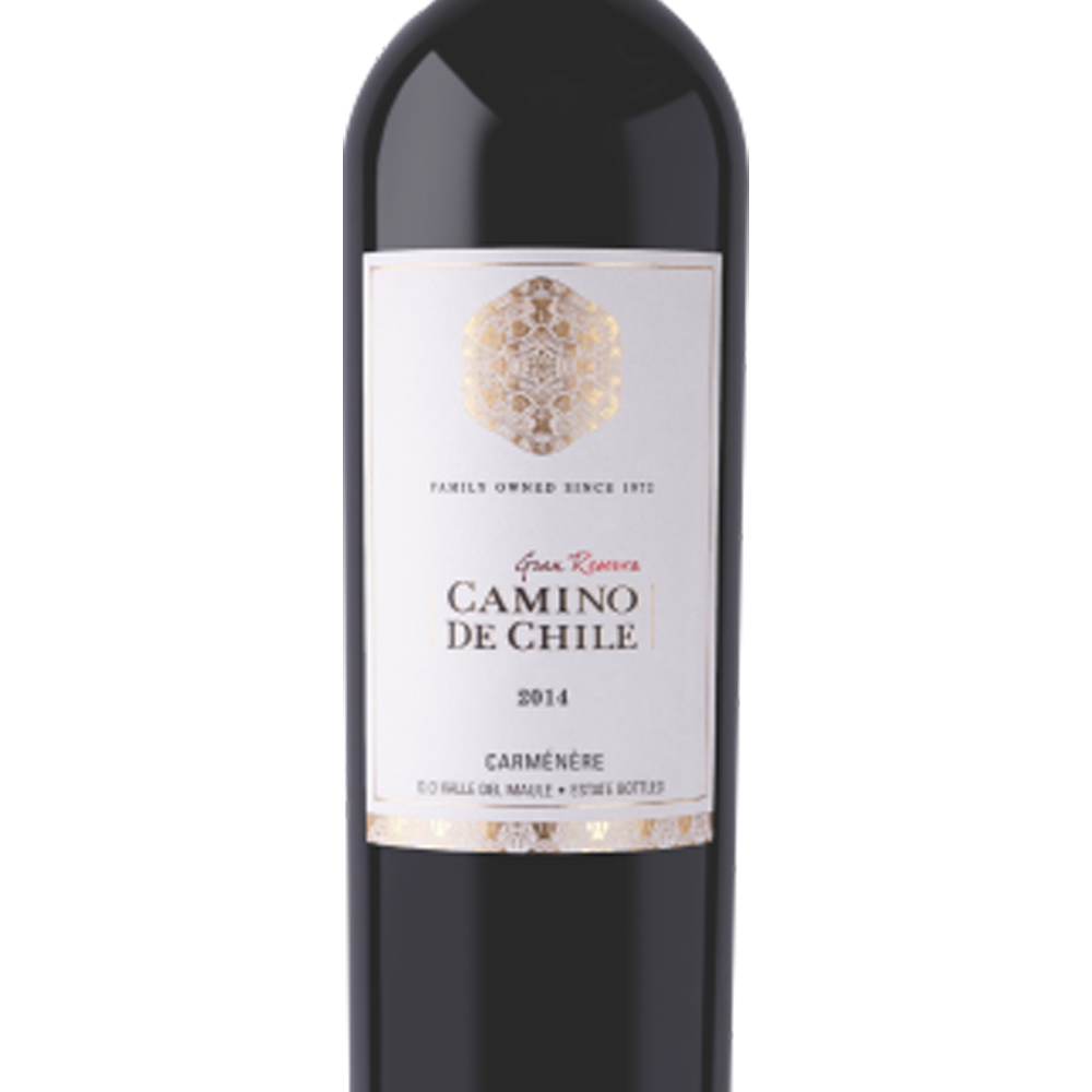 Vinho Camino De Chile Carménère Gran Reserva 750 ml