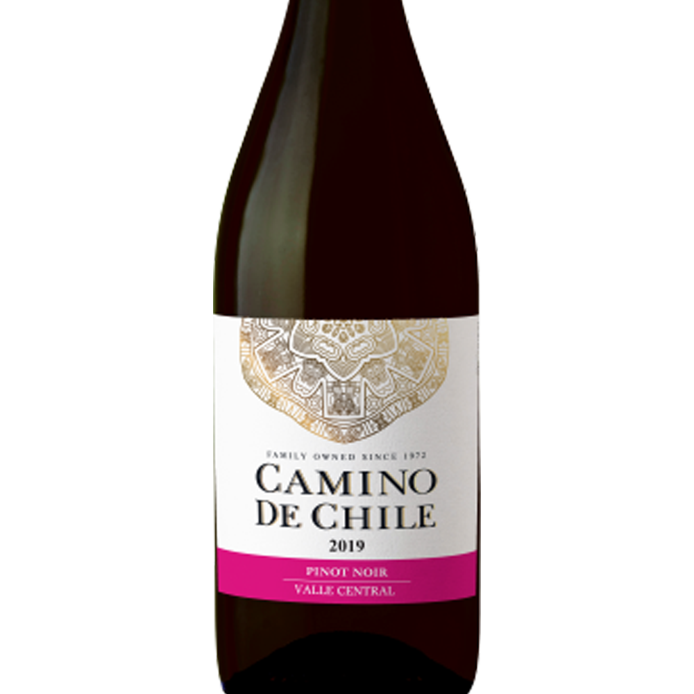 Vinho Camino De Chile Pinot Noir 750 ml