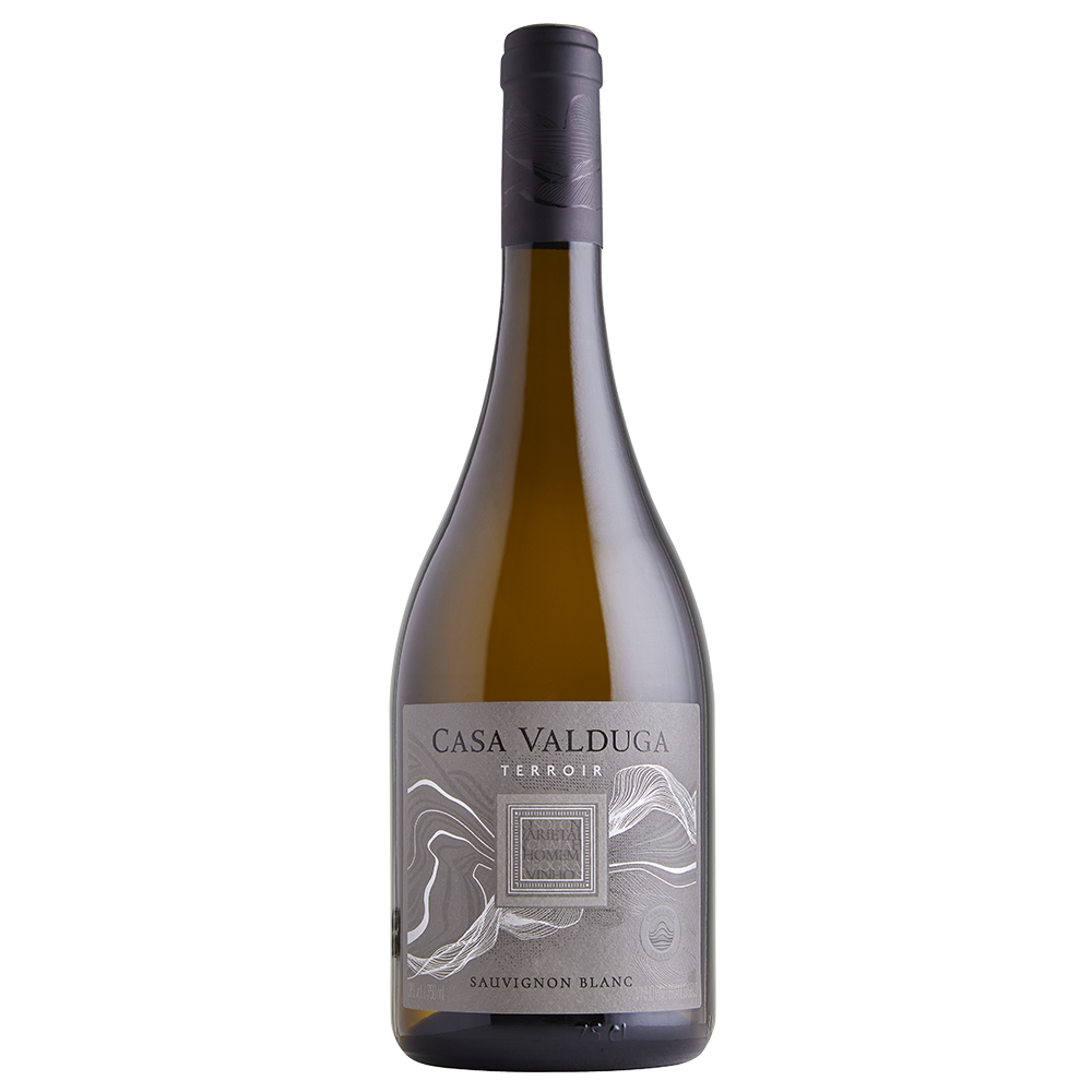 Vinho Casa Valduga Terroir Sauvignon Blanc 750 ml