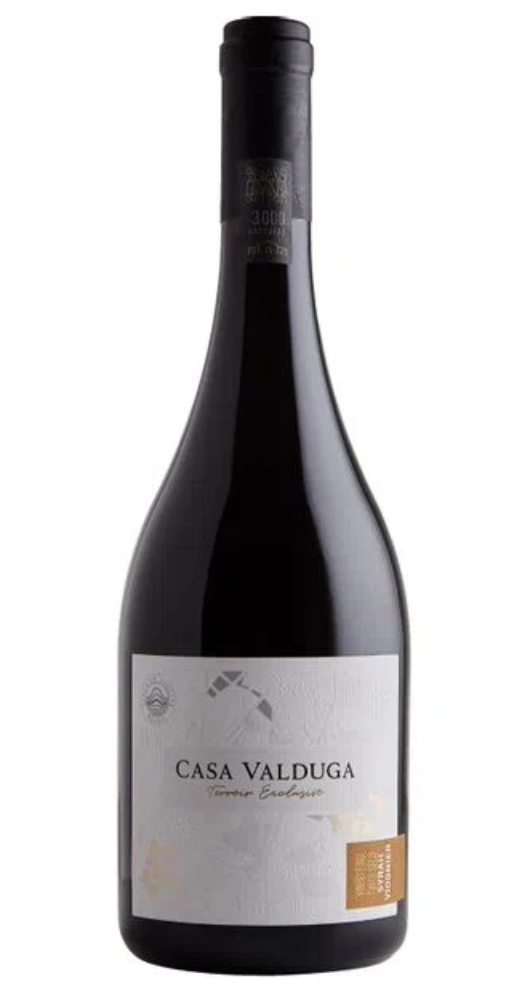 Vinho Casa Valduga Terroir Exclusivo Syrah | Viogner 750 ml