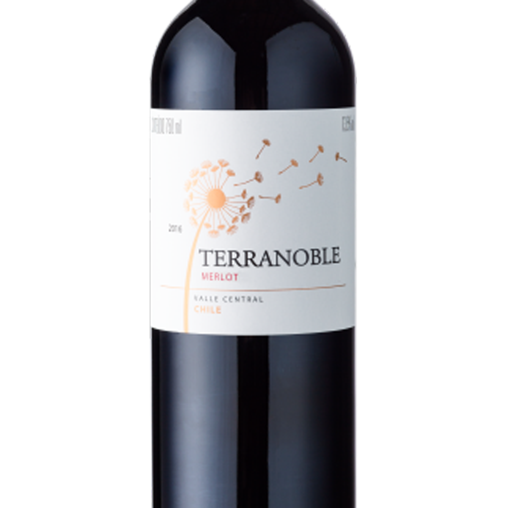 Vinho Terranoble Merlot 750 ml