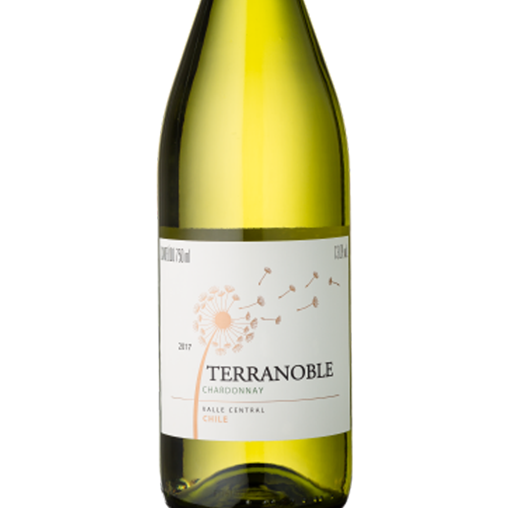 Vinho Terranoble Chardonay 750 ml