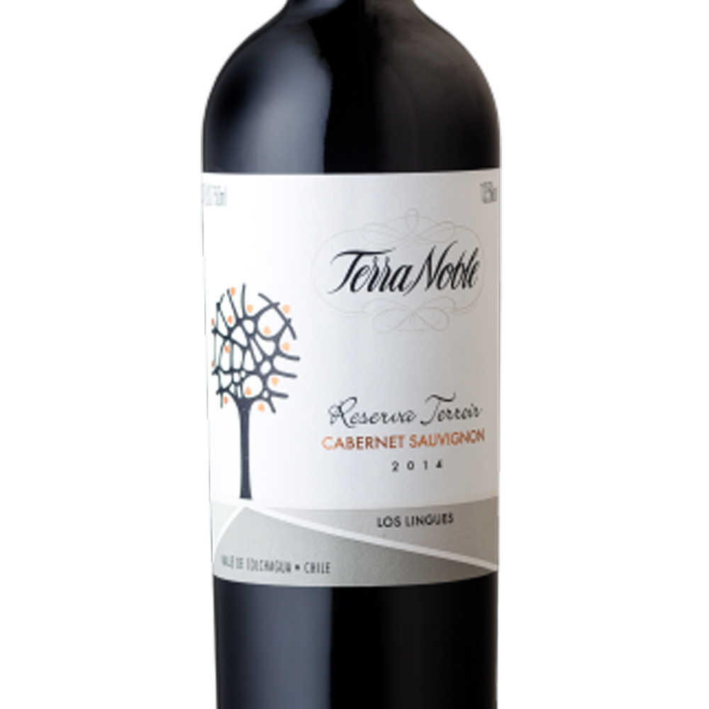 Vinho Terranoble Cabernet Sauvignon Reserva Terroir 750 ml