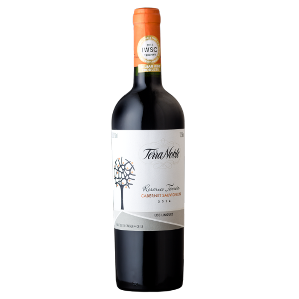Vinho Terranoble Cabernet Sauvignon Reserva Terroir 750 ml